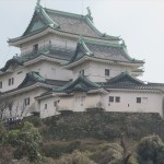 IMG_6595_R