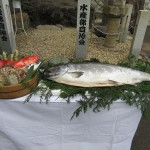 IMG_0500_R