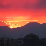 IMG_3562_R