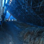 IMG_6253_R
