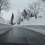 IMG_6352_R