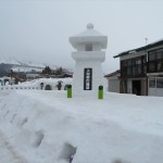 IMG_6355_R