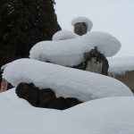 IMG_6367_R