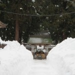 IMG_6376_R