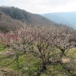 IMG_7582_R