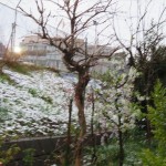 IMG_8346_R