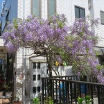 IMG_0203_R