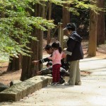 IMG_9085_R