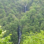 IMG_2112_R