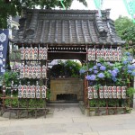 IMG_3731_R