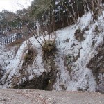 IMG_4608_R