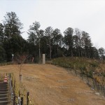 IMG_6422_R