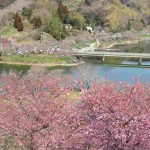 IMG_7069_R