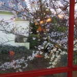 IMG_8515_R