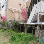 IMG_8891_R