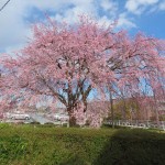 IMG_9245_R