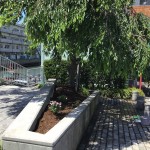 IMG_0446_R