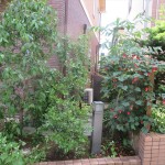 IMG_1807_R