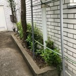 IMG_0504_R