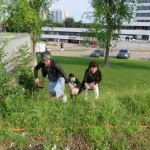 IMG_3867_R
