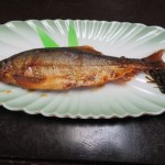 IMG_1207_R