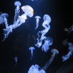 IMG_3829_R